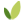 www