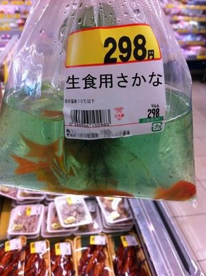 生食用
