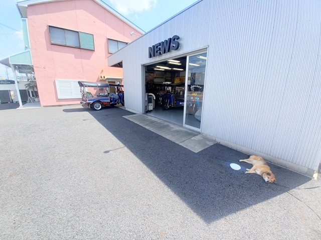 店