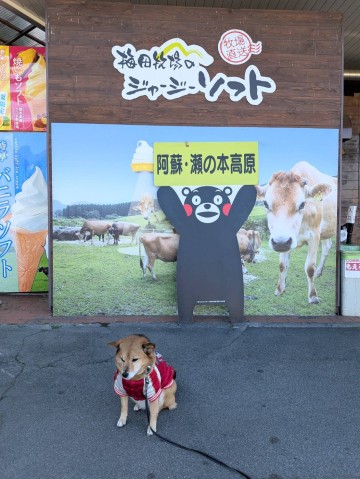 瀬の本レストハウス