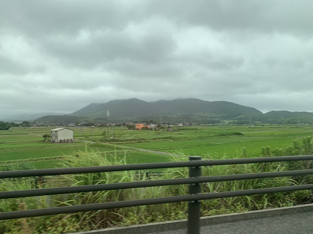 大仙
