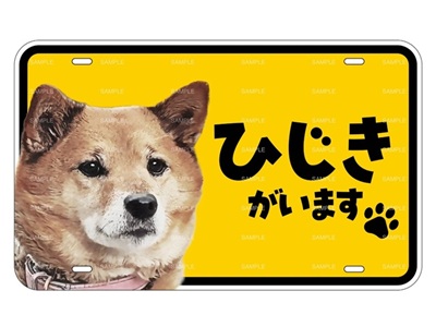 サンプル