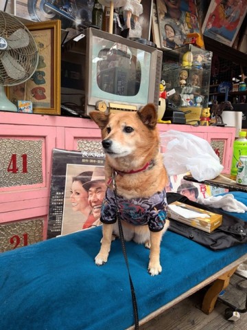店長1