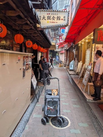 大阪飯店