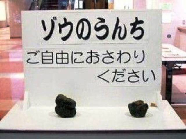 ご自由に・・・