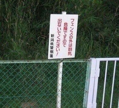 恐るべし新潟県