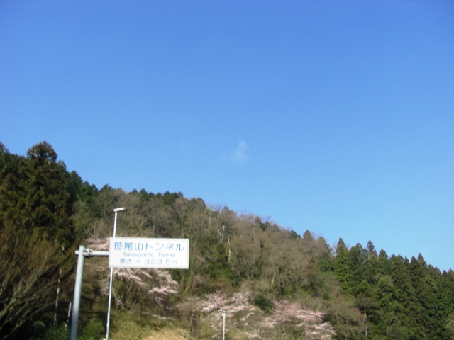 笹尾山