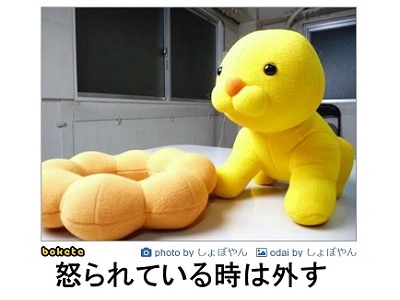 ポンデライオン