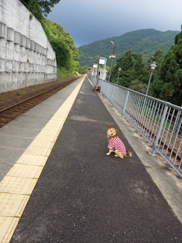 駅