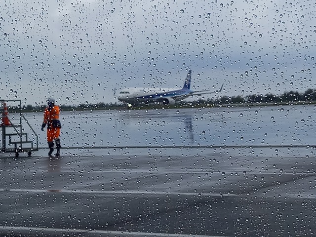 飛行機