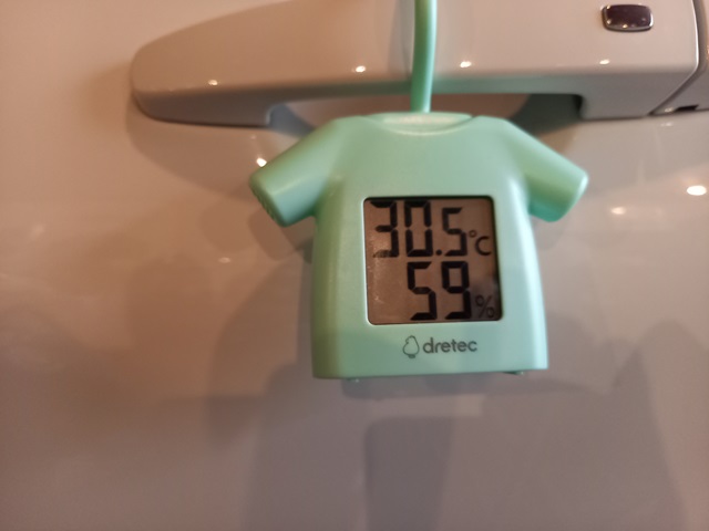 30.6℃