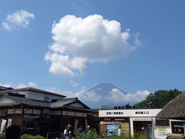 富士山