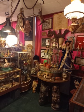 展示A