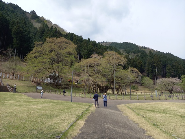 薄墨1