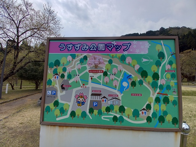案内