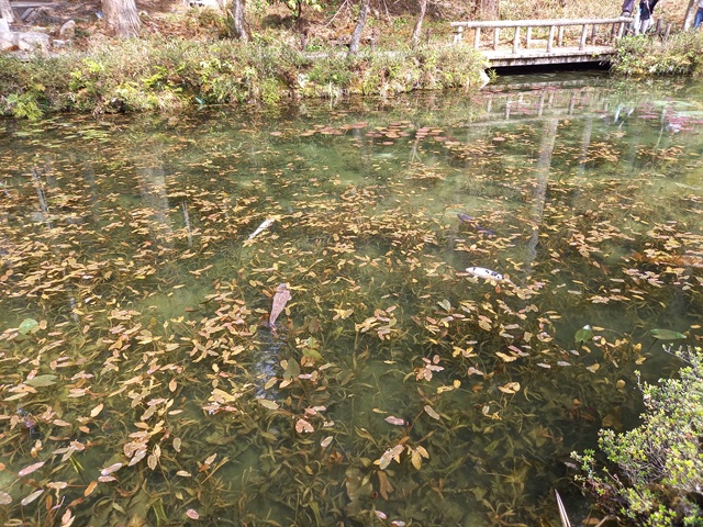 池2