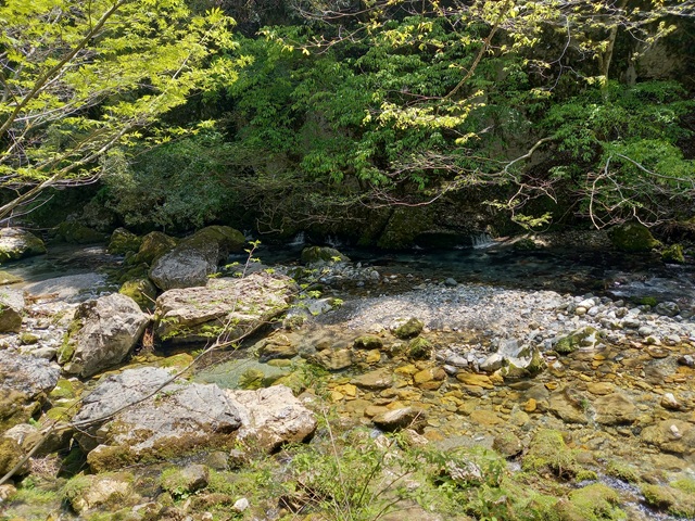 伏流水
