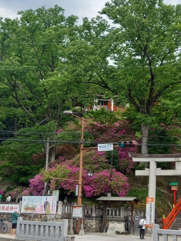 織姫