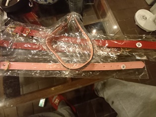首輪
