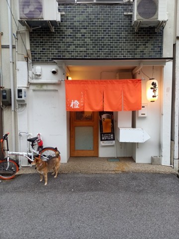 橙