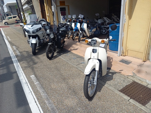 カブ110