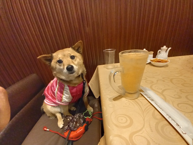 ひじき