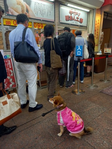 ひじき