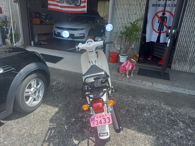 自宅