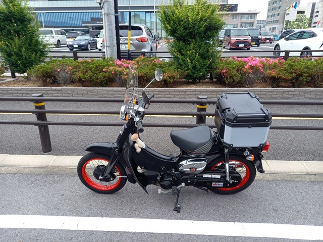 リトルカブ