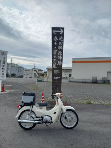 案内