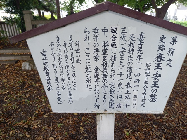 墓説明
