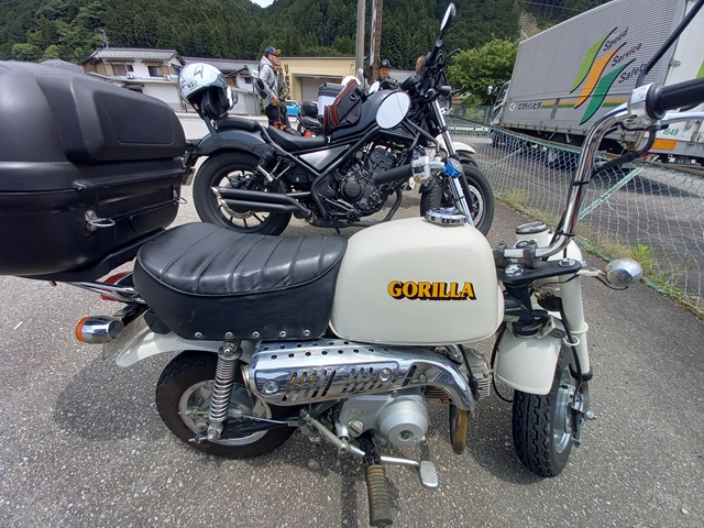 ゴリラ