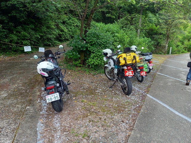 駐車