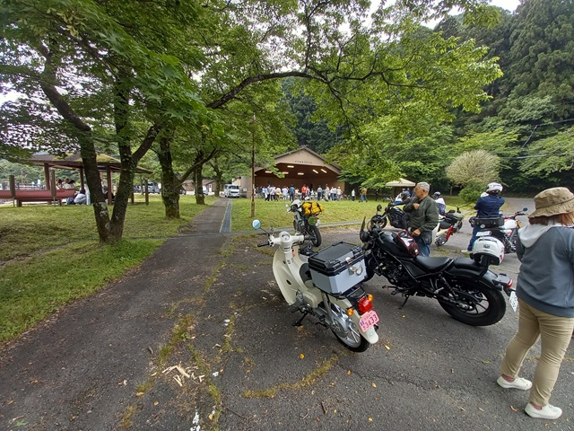 駐車