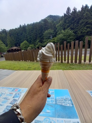 ソフト