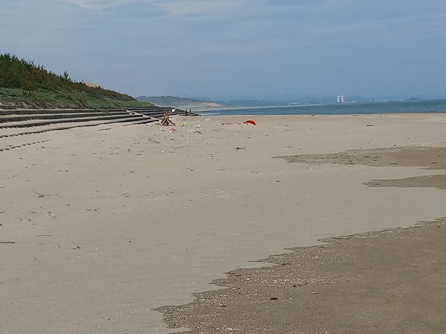 海岸