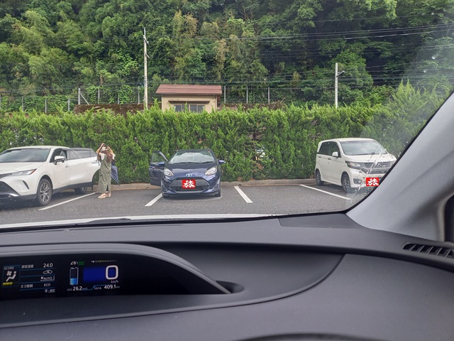 雨