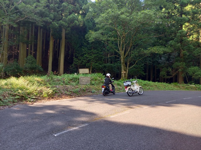 駐車