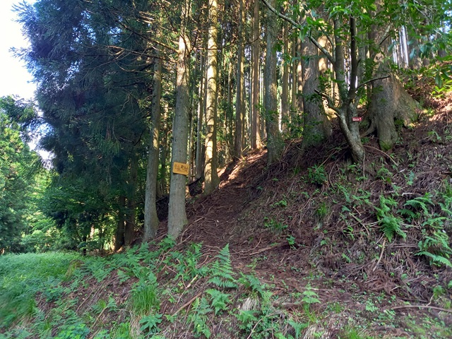 登山口