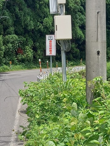 電波