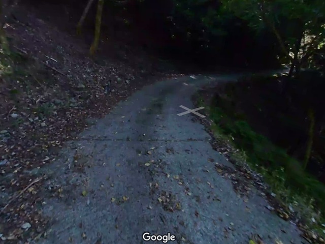 道