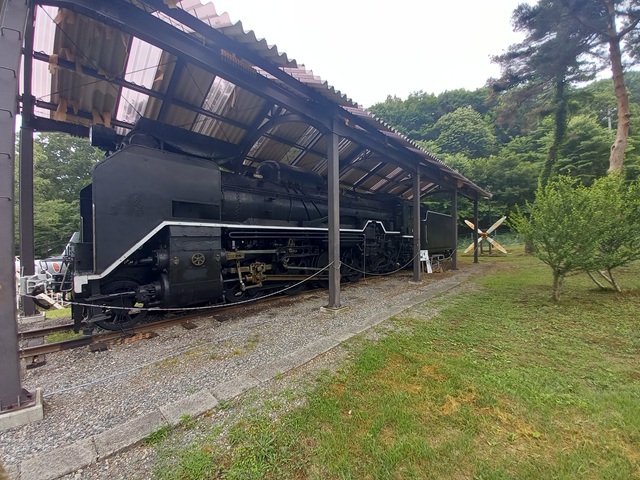 D51