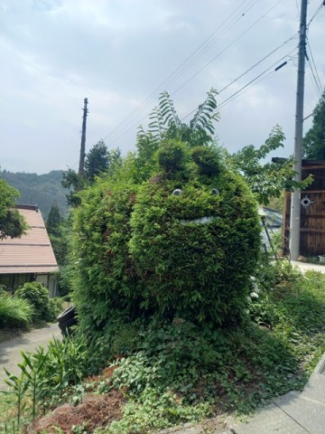 木