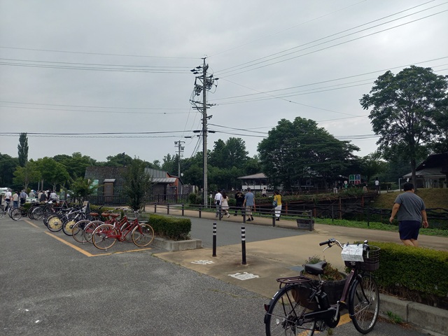 駐車
