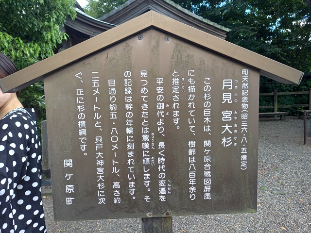 説明