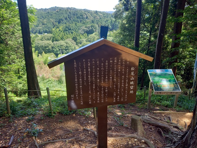 説明