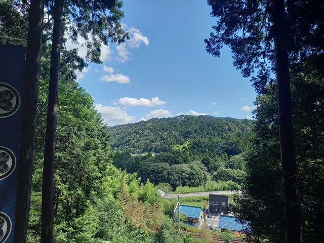 山