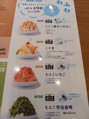 こぐま