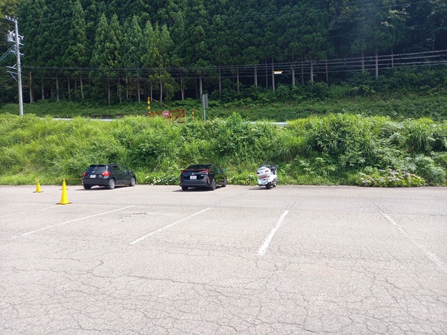 駐車