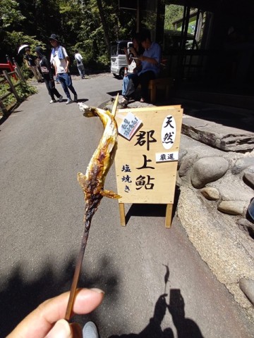 鮎